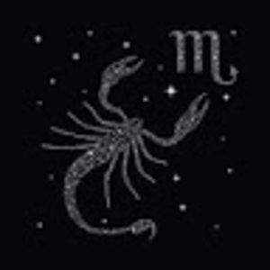 Meet your Posher, Rene